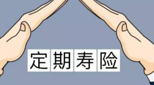 定期壽險(xiǎn)適合什么人？