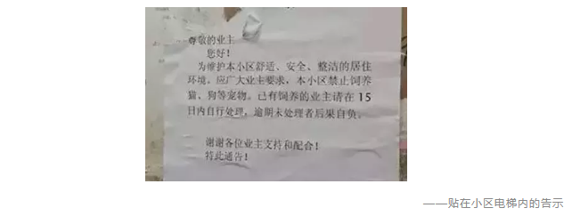 為什么不買保險(xiǎn)就不讓養(yǎng)狗？