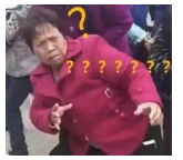 為什么不買保險(xiǎn)就不讓養(yǎng)狗？